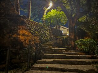 大成功の公演ののち、打ち上げにて疲労を回復させていただき、まだ早い時間だったゆえ、夜の散策に繰り出してみましたよ。

岡崎城公園をうろうろ。

お？ベスポジ発見！と思うも、そのような場所は、うら若き男女が過ぎ去る夏に思いを馳せておられるので、オジの自己満足で邪魔をしてはならぬ。

よってゲリラ的に自己を満足させつつ川沿いへ。

あら、橋までライトアップ？
と、心躍るリバーサイド。

ずんずん歩くと、ライトアップの色が変わるよリバーサイド。
時間で色が変わるのね。

つうか、向こうの向こうまで、いくつもの橋がライトアップ・リバーサイド。

街のど真ん中を一級河川・乙川が流れているので、橋を大事にしてるのか？

ググってみると、

・市道にかかる橋梁940橋 + 法定外道路、農道、林道、その他にかかる橋梁260橋

＝岡崎市内の橋梁1200橋😲😲😲

なるほど！
これはすごい数。
生活になくてはならぬものなので、整備も行き届くわけですな。

遠くまで橋の連なる景観もさることながら、屋根付きベンチのある歩行者専用の木造の橋なんかもあって、通りすがりのこのオジは、癒されながら宿へ向かいました。

ええ街や〜
ありがとうございました。

#岡崎市