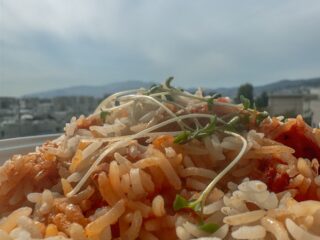 チキンビリヤニ・チャレンジ5回目。
前回から、ひと月以上経ってしまった理由は、

家人どもが嫌がるから！

大量に作って「食べさせてあげてる」のに、月1でええわ〜みたいに言われて😤

最近はずーと、家人Dがご飯を作ってくれるので、それはありがたや〜🙏なのですが、昨日からウズウズして、自分だけのために作ったった。
やらん。
いつも、痺れを切らして途中でやめてまう飴色玉ねぎを忍耐で完遂したらば、やっぱ一味違いますな…

パクチー苦手な家人のために、いつも抜きやったけど、えいやっと、大量投入したった…らば、上に載せるのが無くなってもて、スプラウト散らした。

細けぇことは、良いんだよ🙆