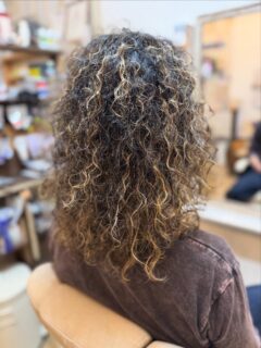 伸びてた〜。
オジは冒険してきました😆