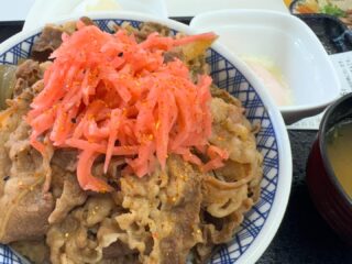 早よついたので朝メシですわ。
高速乗ってる間にどうしても食いたくなって、インター降りたらあったんで。
風邪気味なので、過剰摂取して復活を目指すat超特盛。