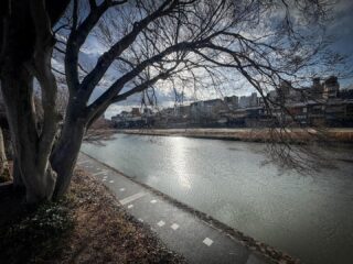 鴨川カルネ牛乳はシーズンオフなので、店舗で頂きました。